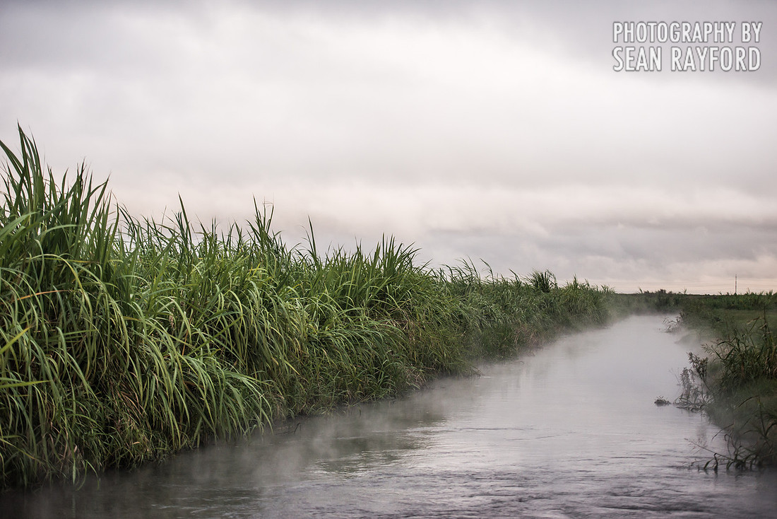 Road Trip through Louisiana - Photos
