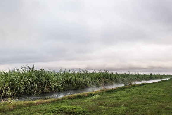Road Trip through Louisiana - Photos