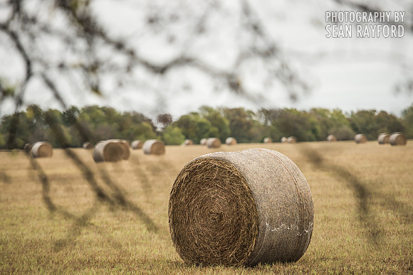 Road Trip photos: Texas