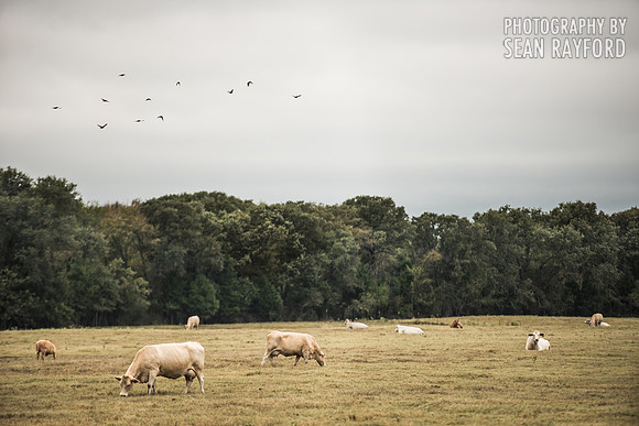 Road Trip photos: Texas