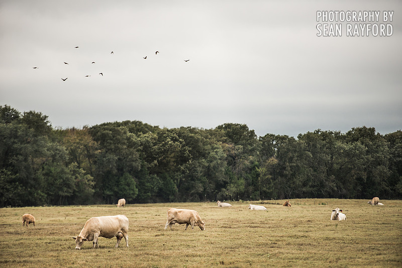 Road Trip photos: Texas