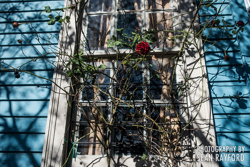 Photos of New Orleans