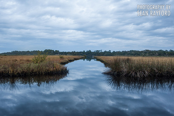 Florida Photos
