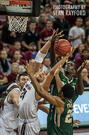 South Carolina Basketball Photos