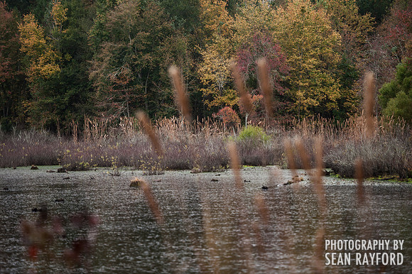 South Carolina Landscape Photography