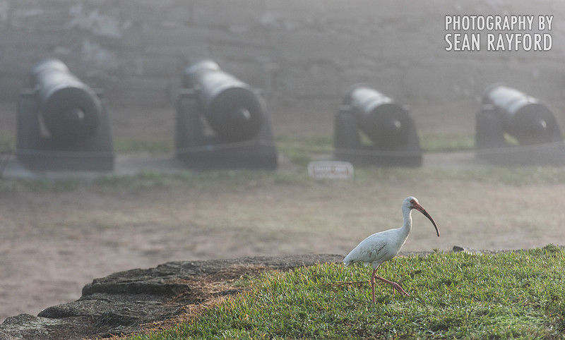 St. Augustine - Castillo de San Marcos