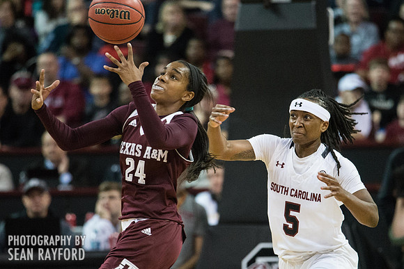 Texas A & M South Carolina Basketball
