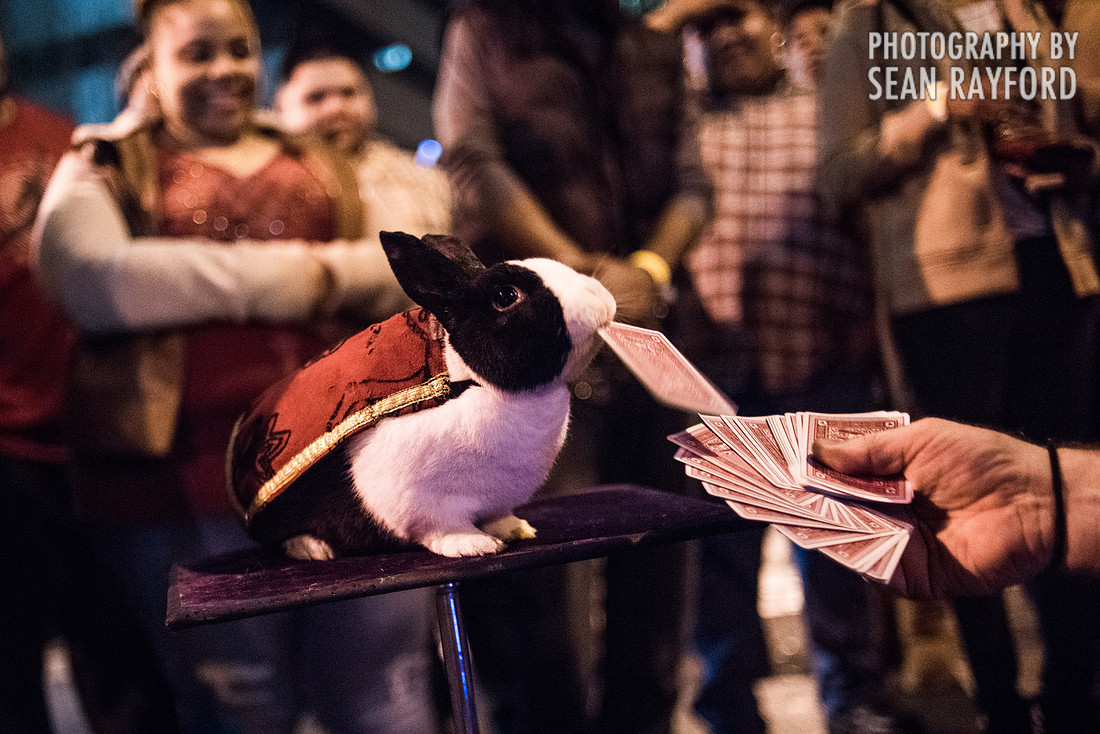 Famously Hot New Years in Columbia, SC Photos