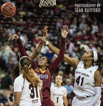 Winthrop South Carolina Basketball