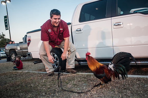 South Carolina Fan Photos