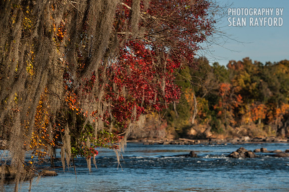 Fall Colors - Columbia SC