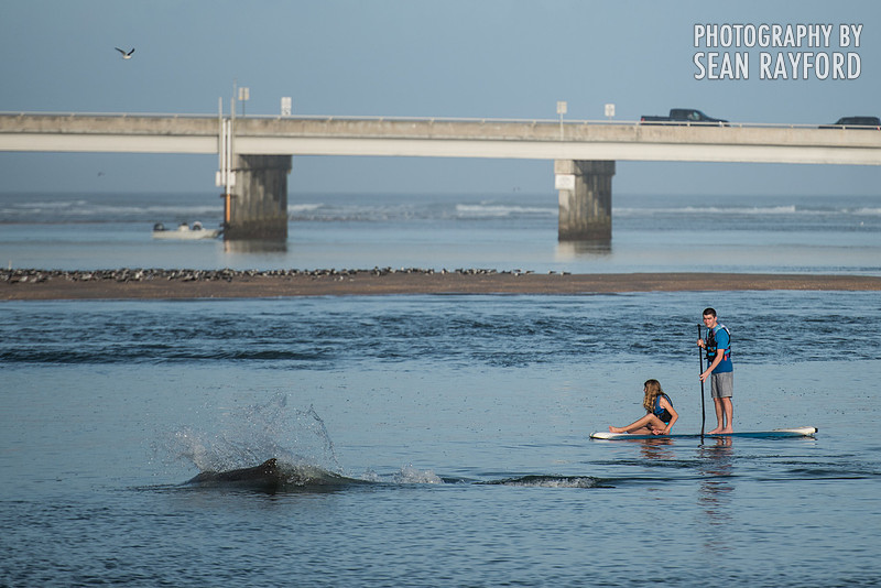 Matanzas Inlet - Rattlesnake Island
