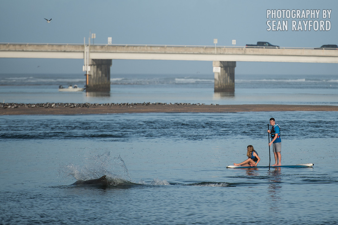 Matanzas Inlet - Rattlesnake Island