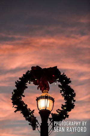 Vista Lights Columbia SC