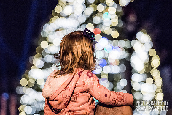 Vista Lights Columbia SC