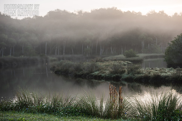 Bulow Creek