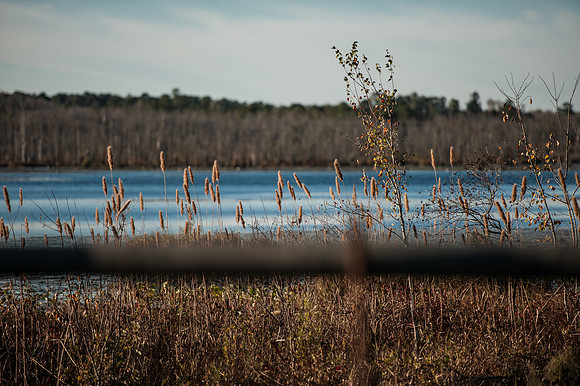 South Carolina Landscape Photography