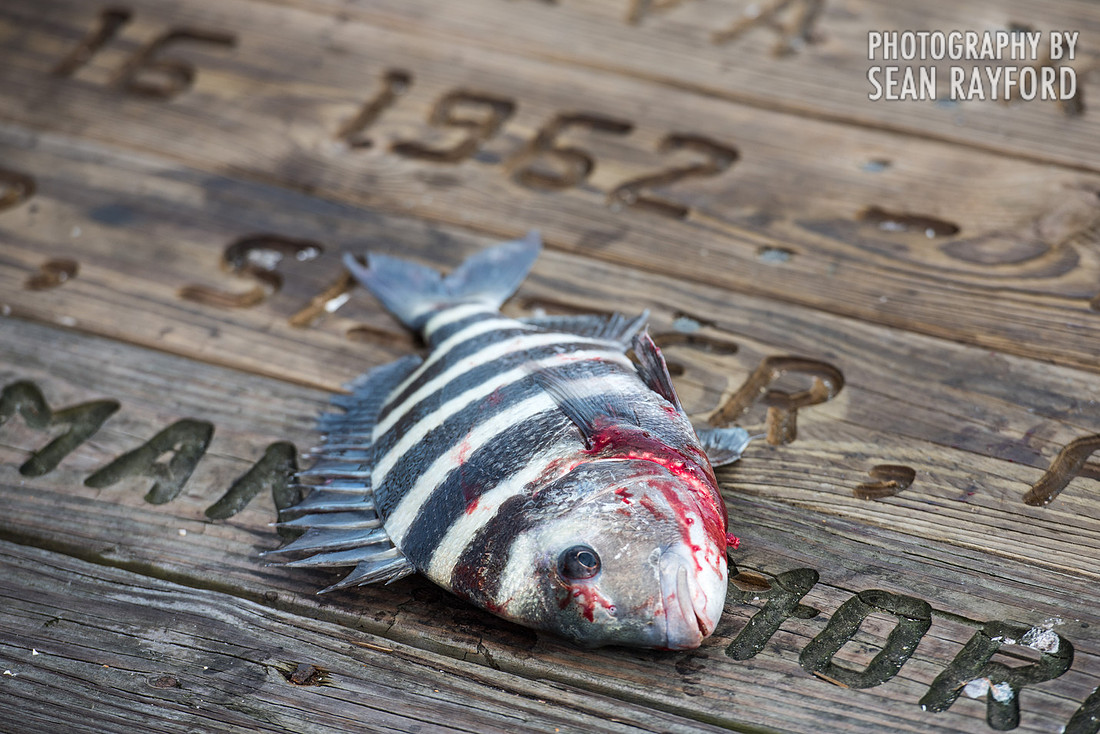 Flagler Beach Pier