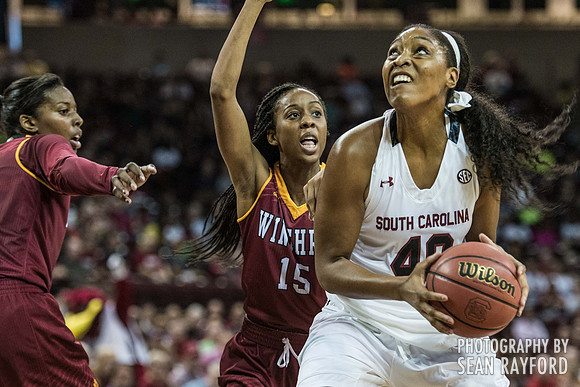 Winthrop South Carolina Basketball