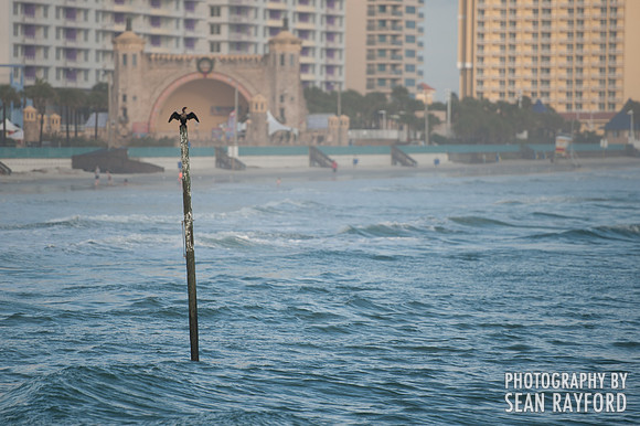 Florida Photos
