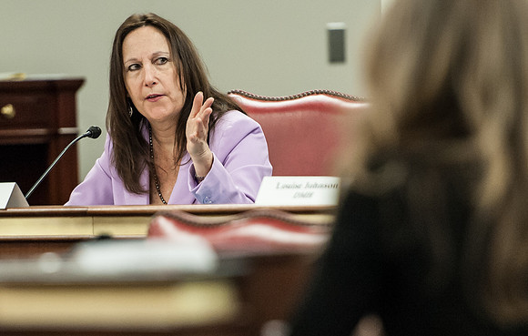 South Carolina DSS Hearing