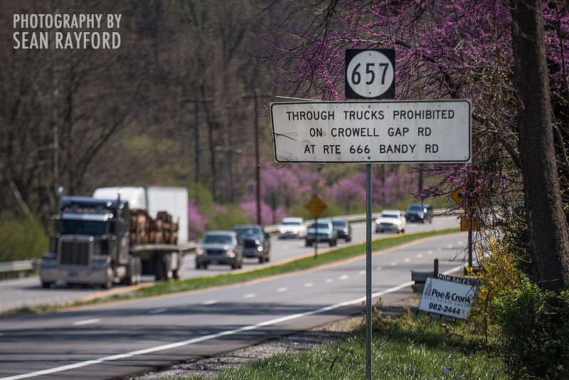 Avoid Pollen Travel blog Blue Ridge Parkway April 4 2016  61016