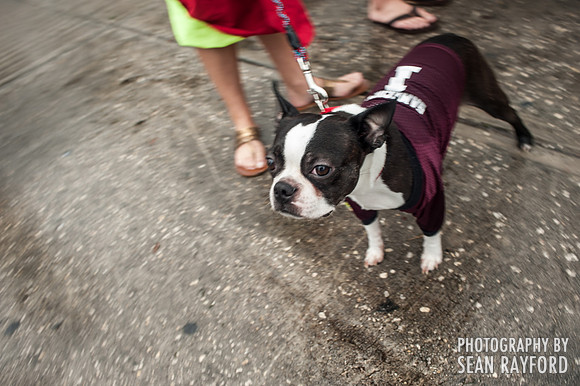 Citrus Bowl Photos - 2014