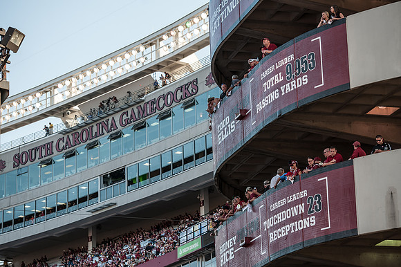 South Carolina Gamecock Fans