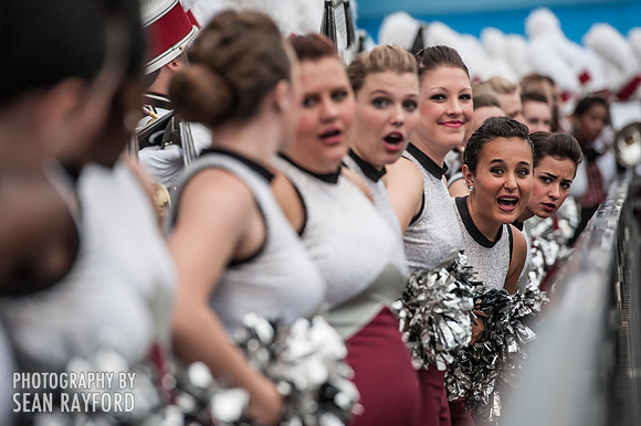 South Carolina Gamecocks