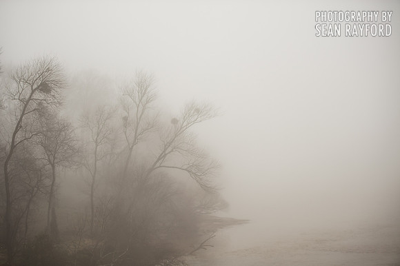 Fog in Columbia SC
