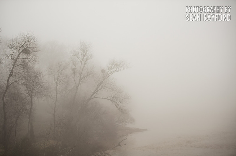 Fog in Columbia SC