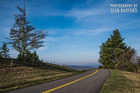 Avoid Pollen Travel blog East Coast 2016  55263