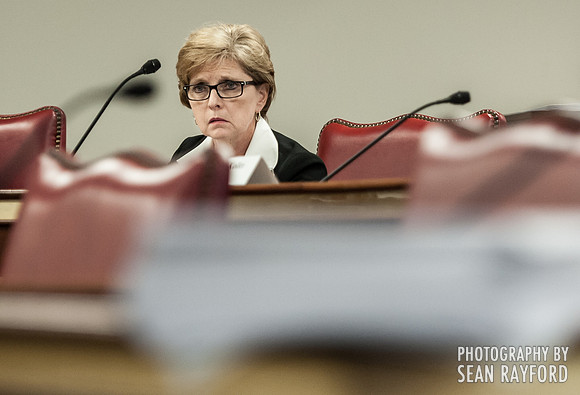 South Carolina DSS Hearing - Columbia SC