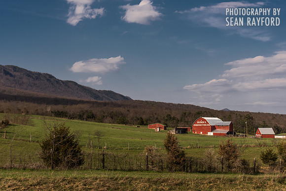 Avoid Pollen Travel blog East Coast 2016  55784
