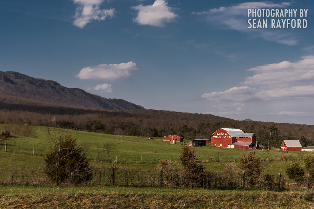 Avoid Pollen Travel blog East Coast 2016  55784
