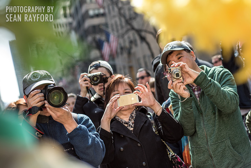 Avoid Pollen Travel blog New York City easter 2016 56644