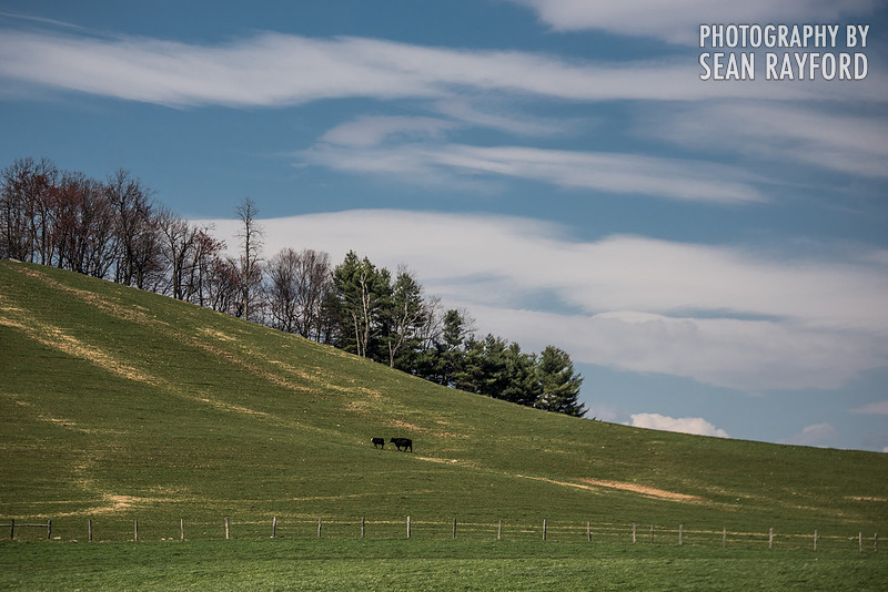 Avoid Pollen Travel blog Blue Ridge Parkway April 4 2016  61037