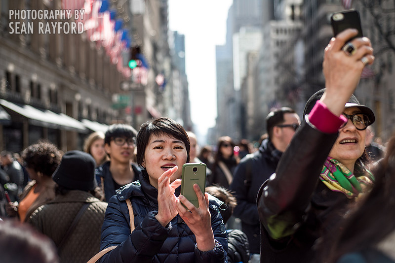 Avoid Pollen Travel blog New York City easter 2016 56645