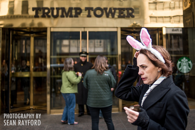 Avoid Pollen Travel blog New York City easter 2016 56415