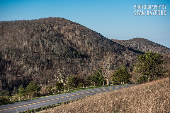 Avoid Pollen Travel blog Blue Ridge Parkway April 4 2016  60785