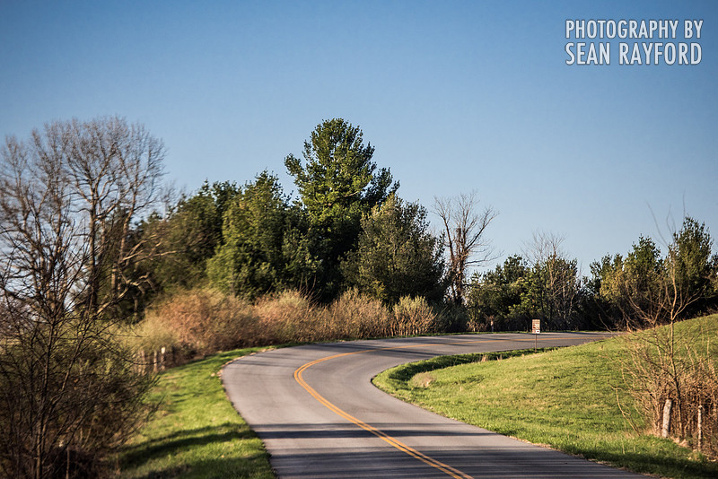 Avoid Pollen Travel blog Blue Ridge Parkway April 4 2016  60778