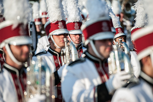 South Carolina Gamecock Fans