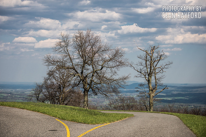 Avoid Pollen Travel blog Blue Ridge Parkway April 4 2016  61092