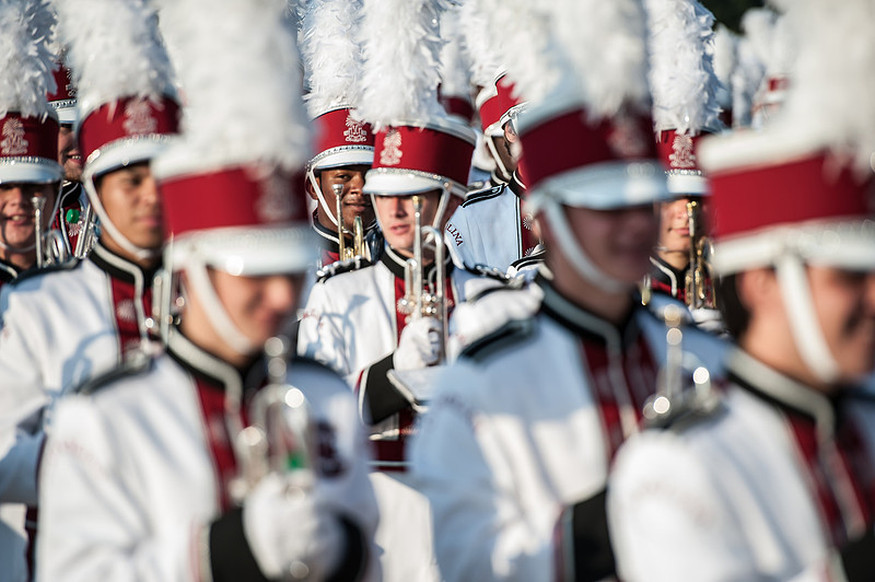 South Carolina Gamecock Fan Photos