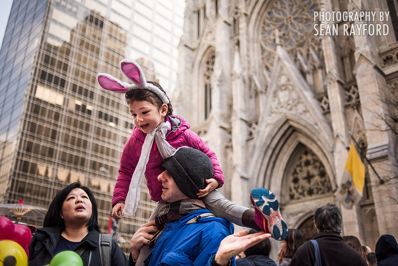 Avoid Pollen Travel blog New York City easter 2016 56282