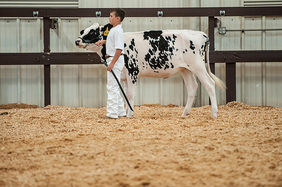 South Carolina State Fair Photos