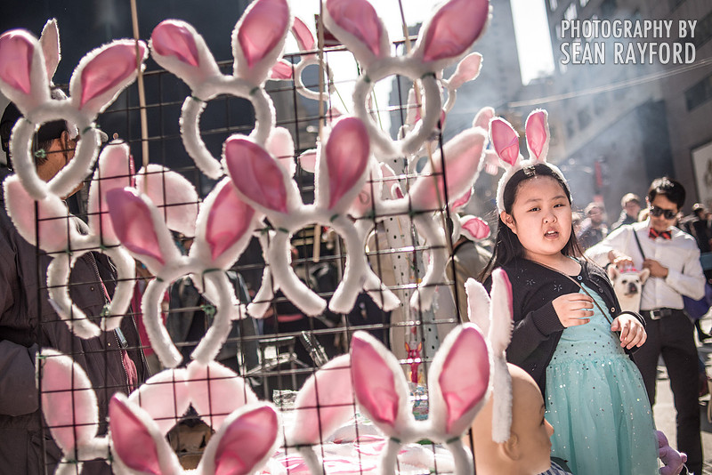 Avoid Pollen Travel blog New York City easter 2016 56577