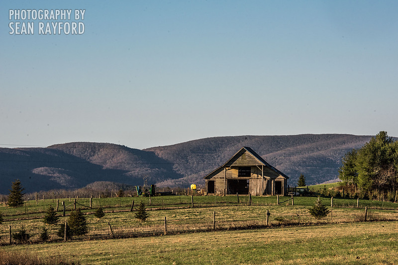 Avoid Pollen Travel blog Blue Ridge Parkway April 4 2016  60767