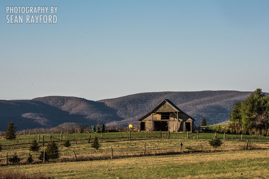 Avoid Pollen Travel blog Blue Ridge Parkway April 4 2016  60767