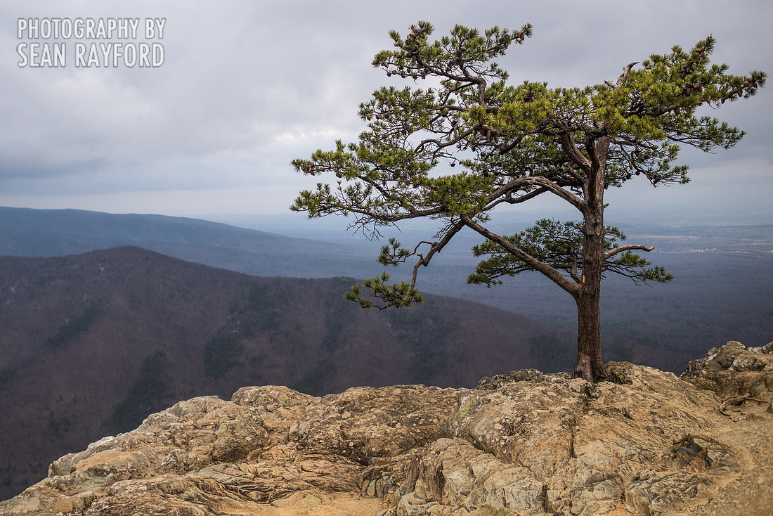 Avoid Pollen Travel blog East Coast 2016  55475